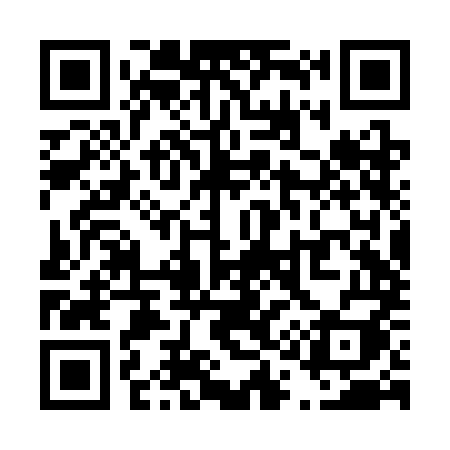 QR code for T12SMI