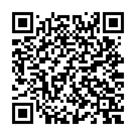 QR code for T12VVS
