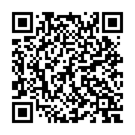 QR code for T13BRV