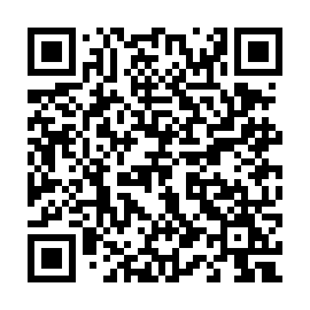 QR code for T13DNM