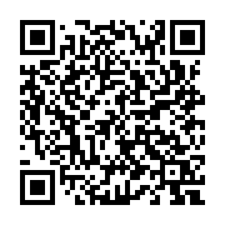 QR code for T13IWS