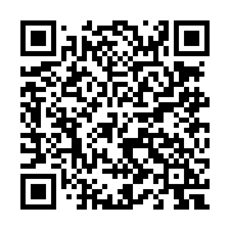 QR code for T13LFI