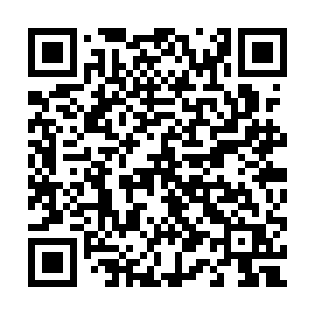 QR code for T13QAR