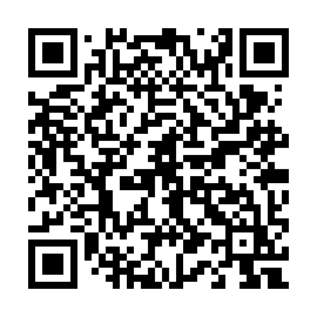 QR code for T13VIZ