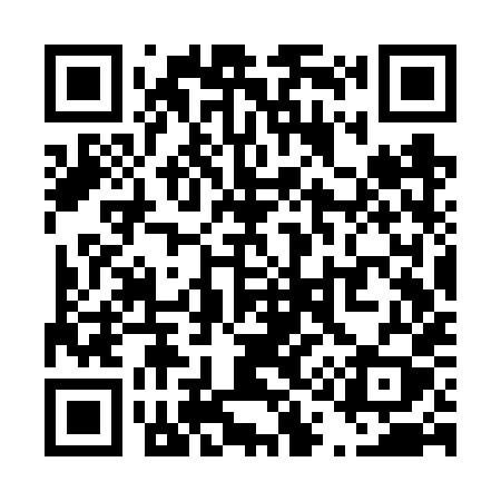 QR code for T13VXY