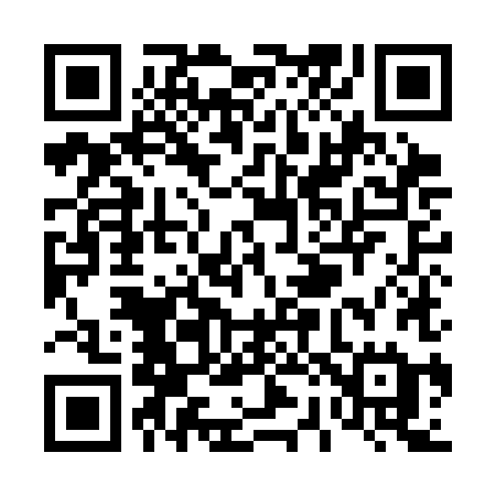 QR code for T29CHE
