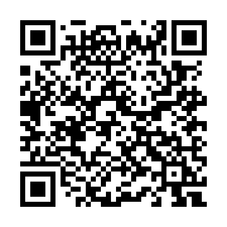 QR code for T30OMI