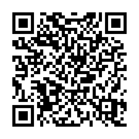 QR code for T38HFT
