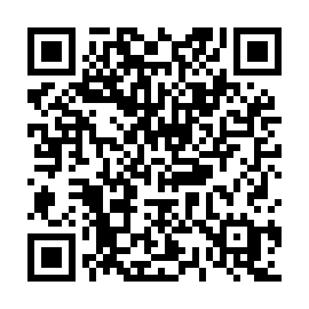 QR code for T38MCE