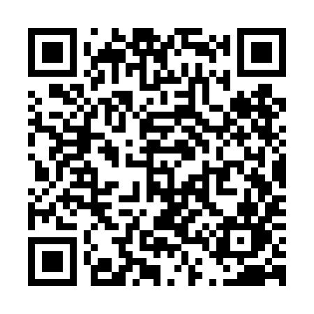 QR code for T43TIN