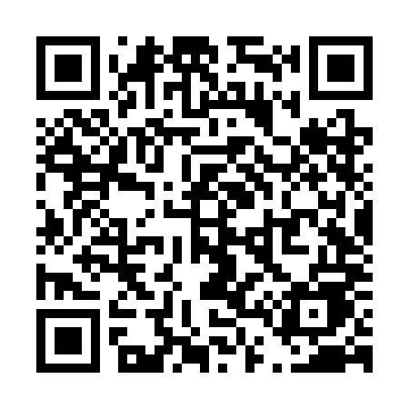QR code for T46SME
