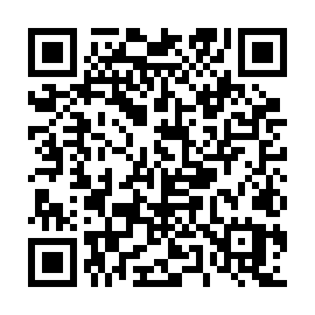 QR code for T51BLU