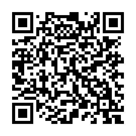 QR code for T55NAO