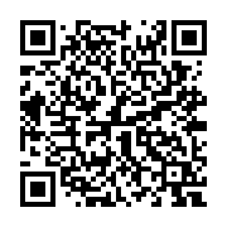 QR code for T81WIR