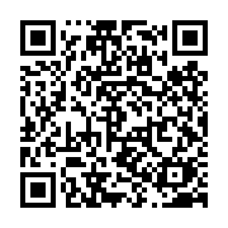 QR code for T86DSM
