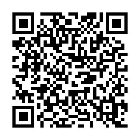 QR code for T91HIL