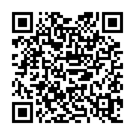 QR code for T91RIM