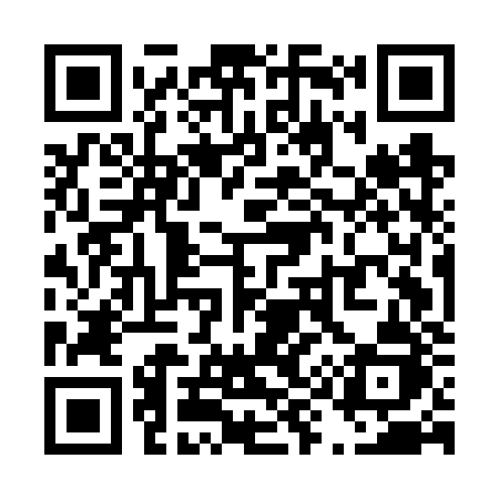 QR code for T95FZJ