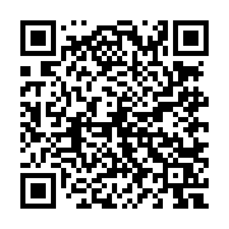 QR code for T95LLS