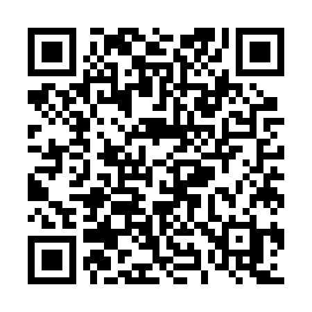 QR code for T95RZH