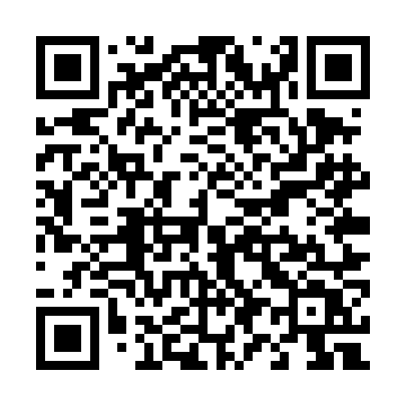 QR code for T95TNT