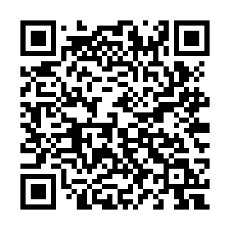 QR code for T95ZCL
