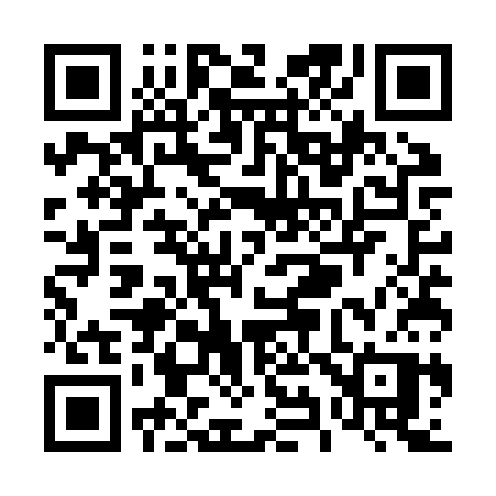 QR code for T95ZSP