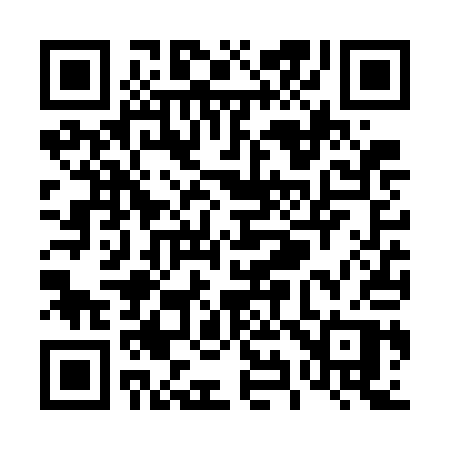 QR code for T96WAP