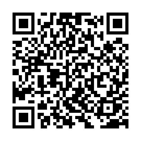 QR code for TCG55P