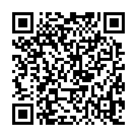 QR code for TDF38N