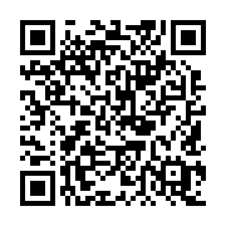QR code for TDI29E