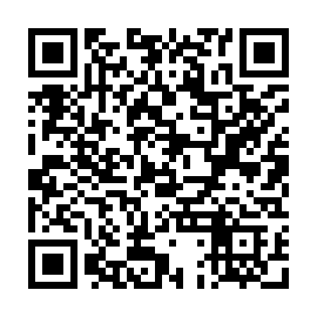QR code for TDL93C