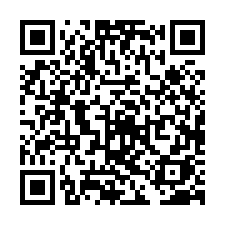 QR code for TDP87H