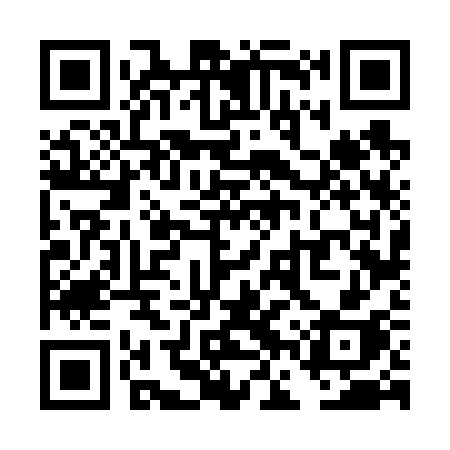 QR code for TFV63H