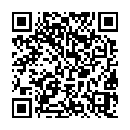 QR code for TIG39S