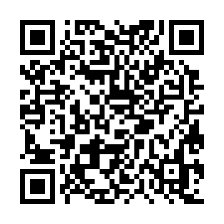 QR code for TPG38N