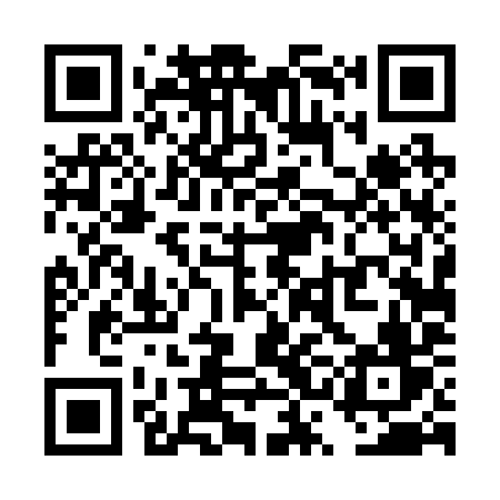 QR code for TSD29V