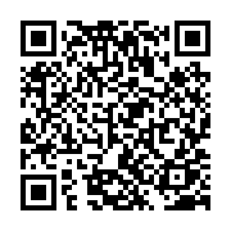 QR code for TSO29P