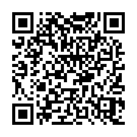 QR code for TUD91P