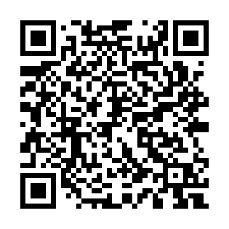 QR code for U19QQP