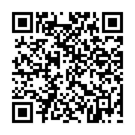 QR code for U41LSM