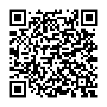 QR code for U41PPX