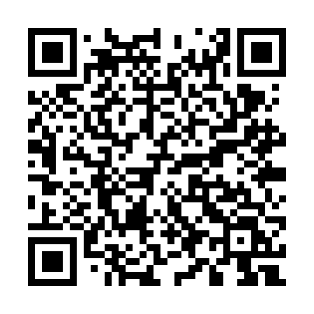 QR code for U91VFL