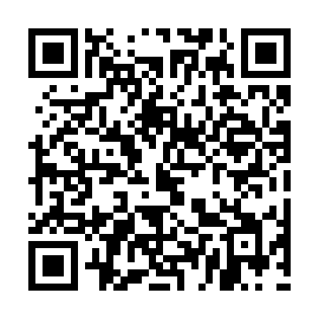 QR code for UDP25I