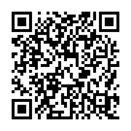 QR code for UDX17I