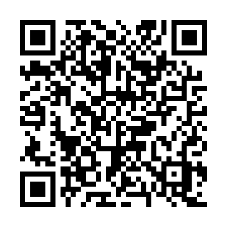 QR code for V11APZ