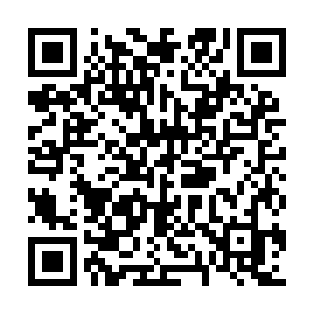 QR code for V11IJJ