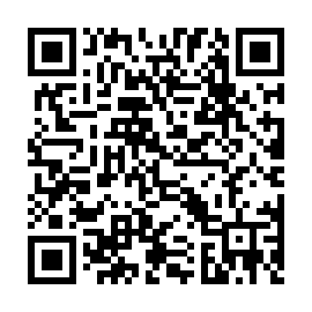 QR code for V11LMV