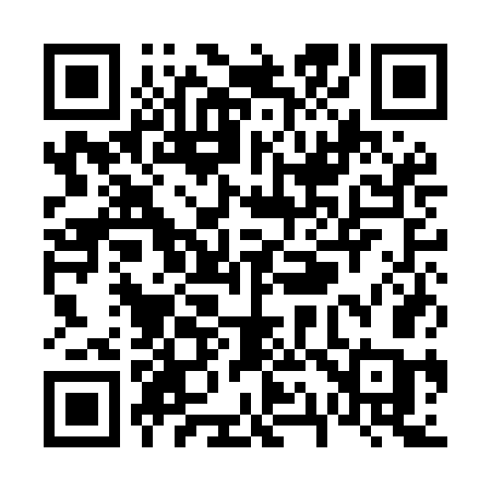 QR code for V11MGC