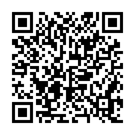 QR code for V11NON